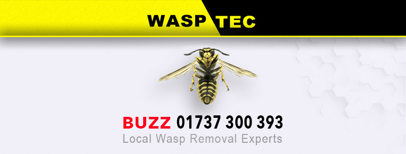 Logo of Wasptec - Wasp Nest Removal Pest And Vermin Control In Redhill, Surrey