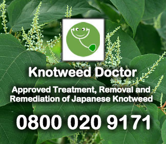 Logo of Knotweed Doctor Surveyors In Wrexham, Wrexham County Borough