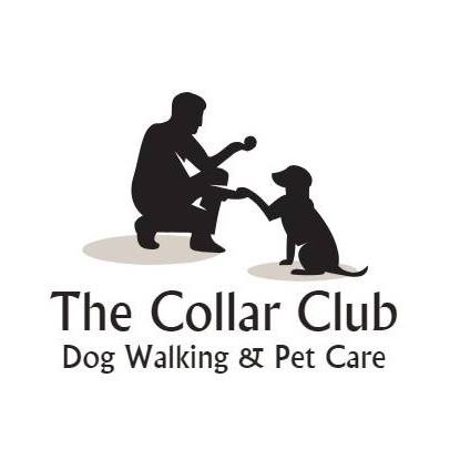 Logo of The Collar Club Pet Care