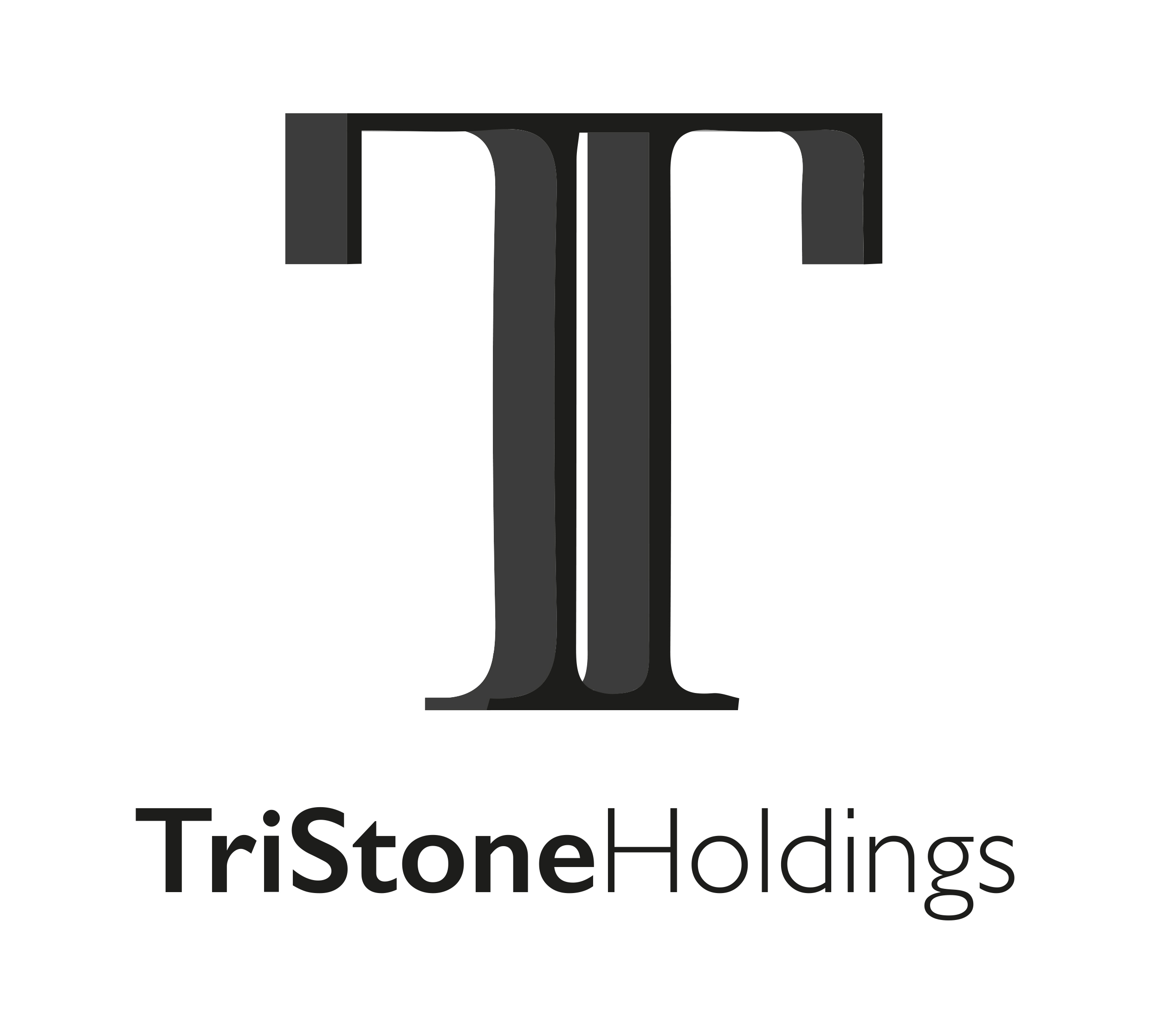Logo of TriStone Holdings Ltd