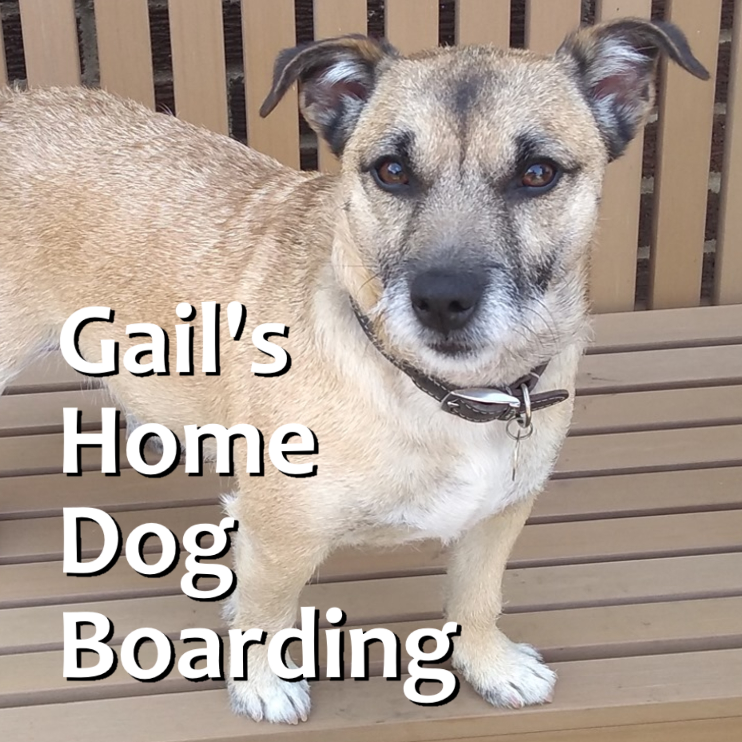 Logo of Gail's Home Dog Boarding Boarding Kennels And Catteries In Morecambe, Lancashire