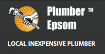 Logo of Plumber Epsom