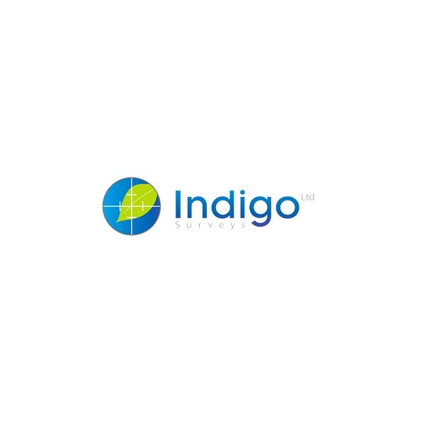 Logo of Indigo Surveys