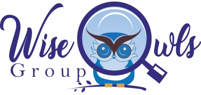 Logo of Wise Owls Group Adult Education Centres In Tonbridge, Kent