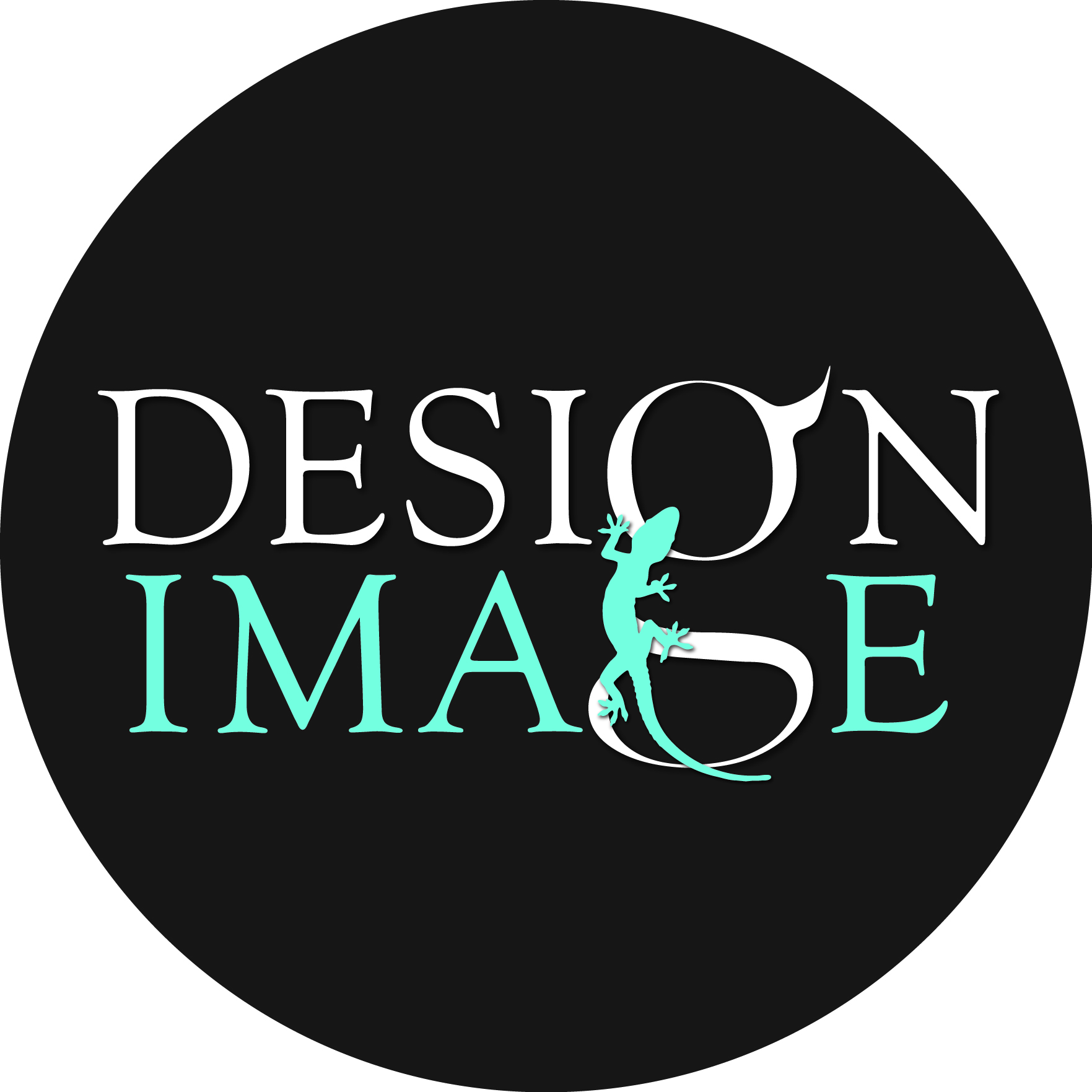 Logo of Design Image Ltd Graphic Designers In Fareham, Hampshire