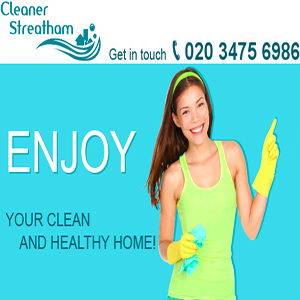 Logo of Domestic Cleaner Streatham