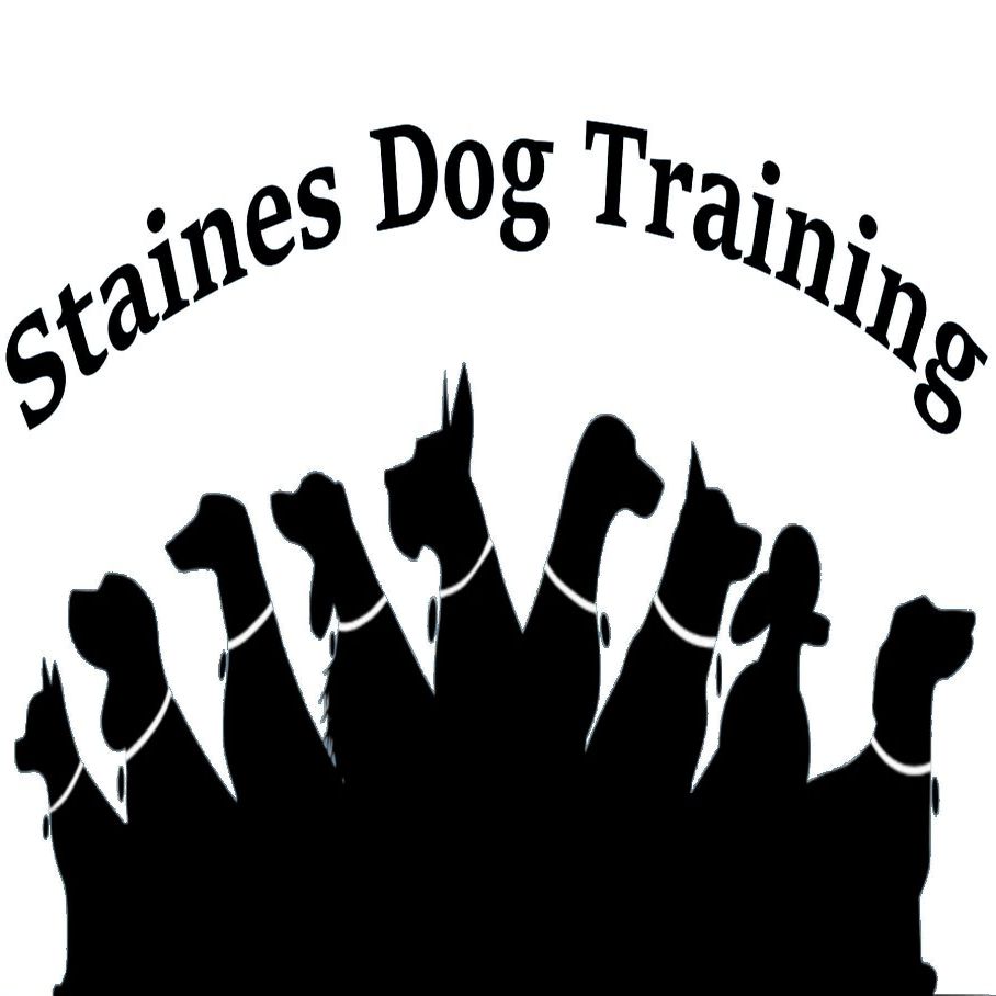 Logo of Staines Dog Training Dog Training In Staines, Middlesex