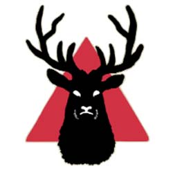 Logo of Wild Stag Studio Video Production Companies In Brighton, East Sussex