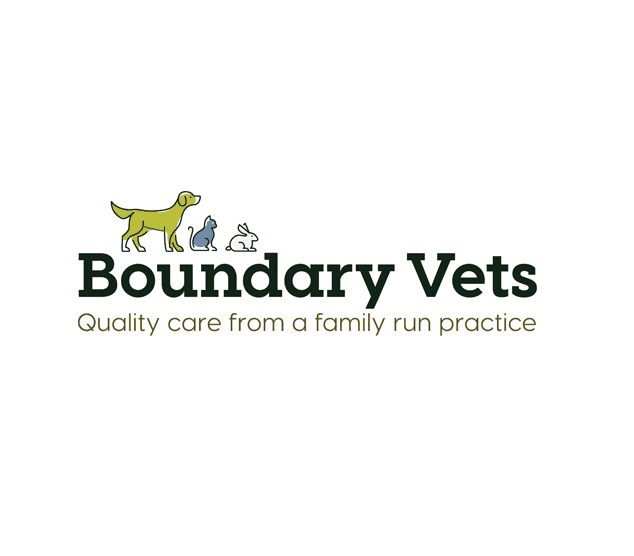 Logo of Boundary Vets