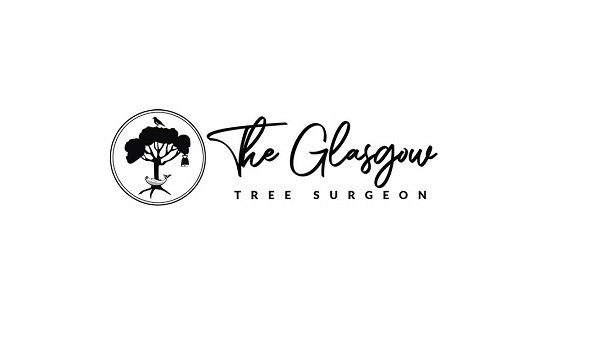 Logo of Timber Tree Surgeons Glasgow