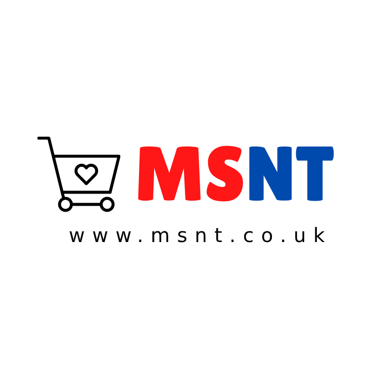 Logo of MSNT LTD