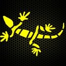 Logo of Yellow Lizard Media