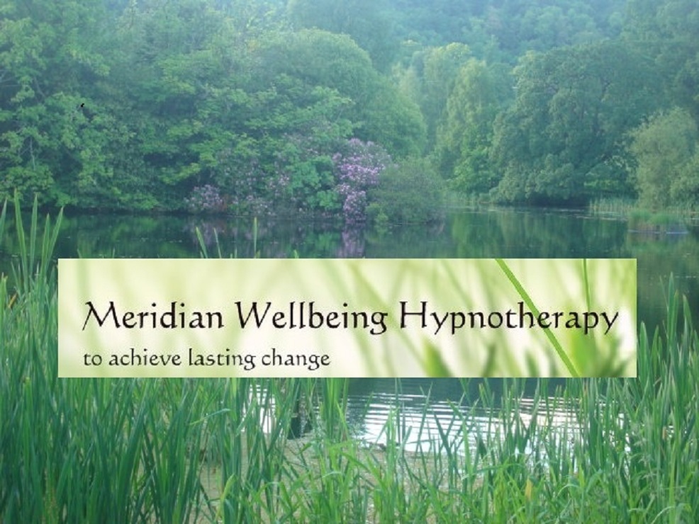 Logo of Meridian Wellbeing Hypnotherapy