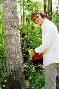 Logo of Tree Surgeon Stroud