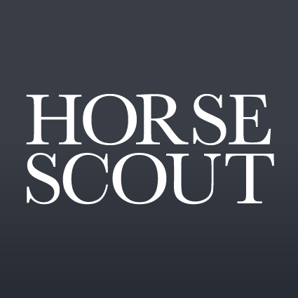Logo of Horse Scout Horse Breeders And Dealers In Christchurch, Dorset