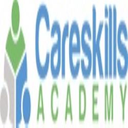 Logo of Careskills Academy