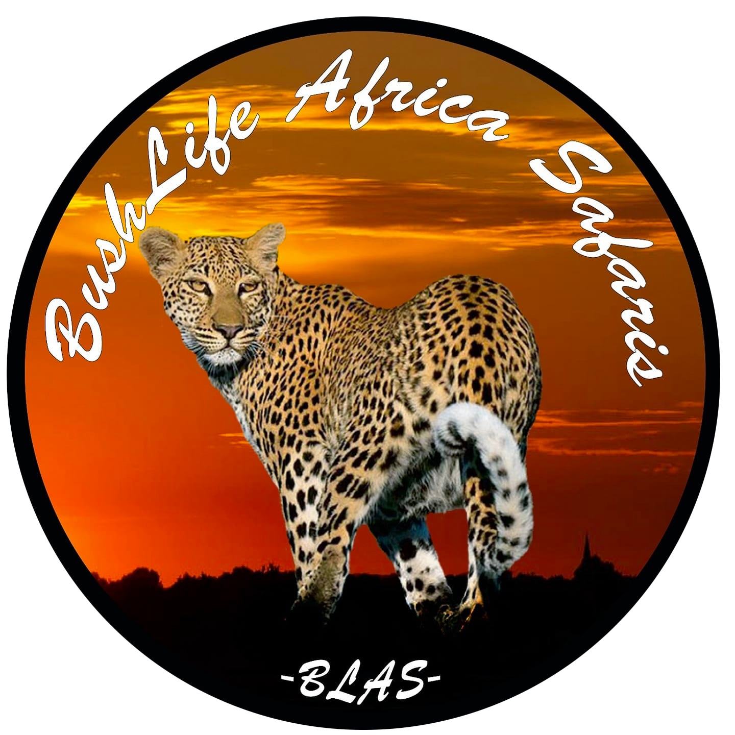 Logo of BushLife Africa Safaris BLAS