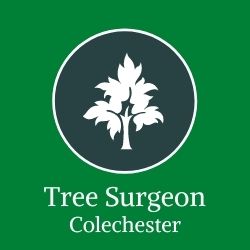 Logo of Tree Surgeon Colchester