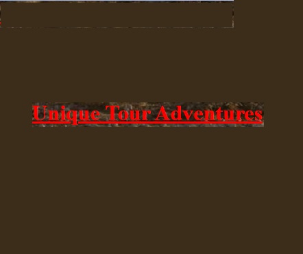 Logo of Unique Tour Adventures