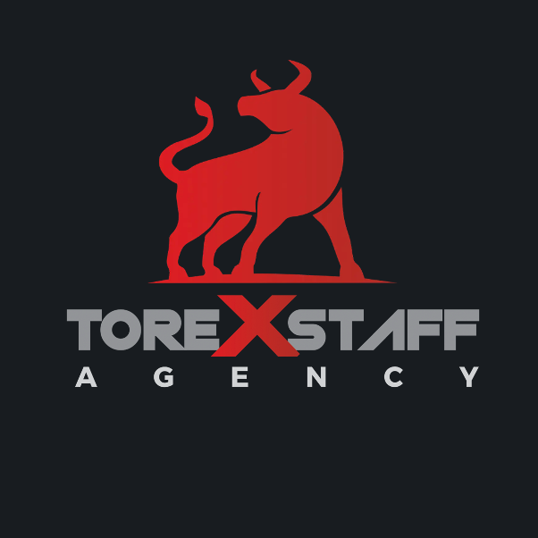 Logo of Torexstaff Ltd - Recruitment Agency Hull Yorkshire