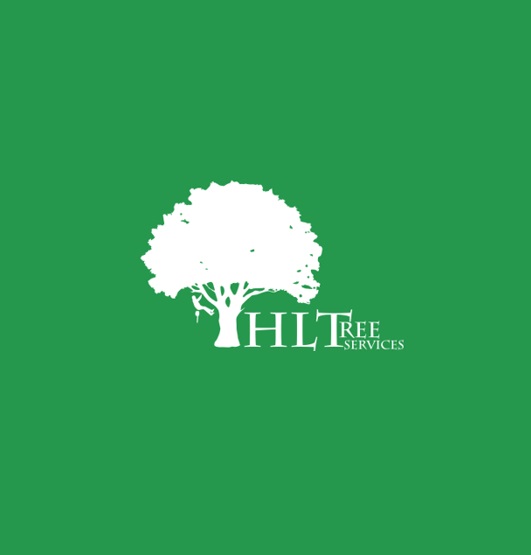 Logo of HLTree Services Tree Surgeon In Anstruther, Fife