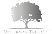 Logo of Waterman Tree Co Tree Surgeon In Hitchin, Hertfordshire