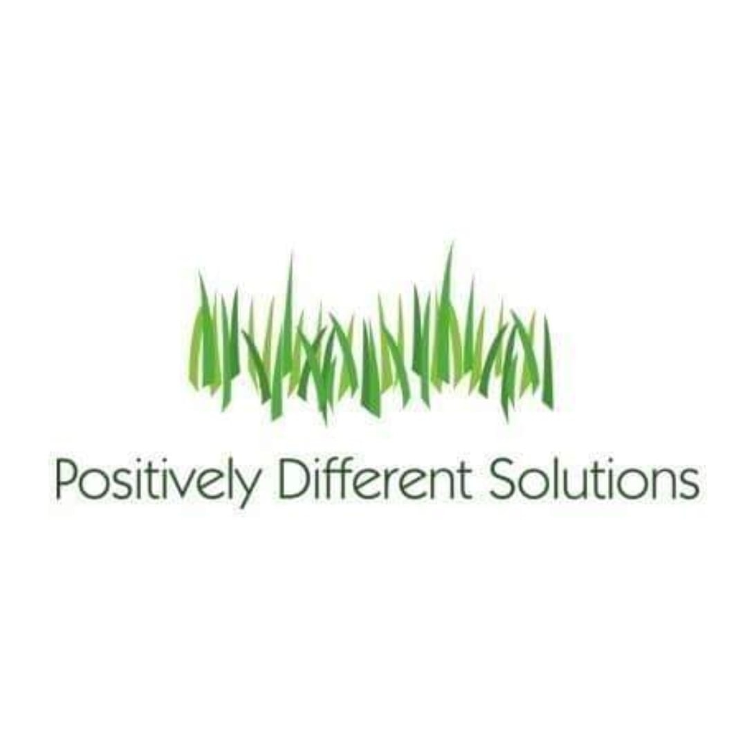 Logo of Positively Different Solutions