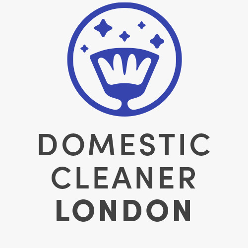 Logo of Domestic Cleaner London