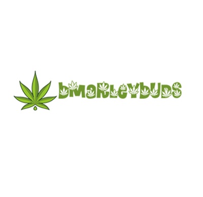 Logo of Bmarleybuds