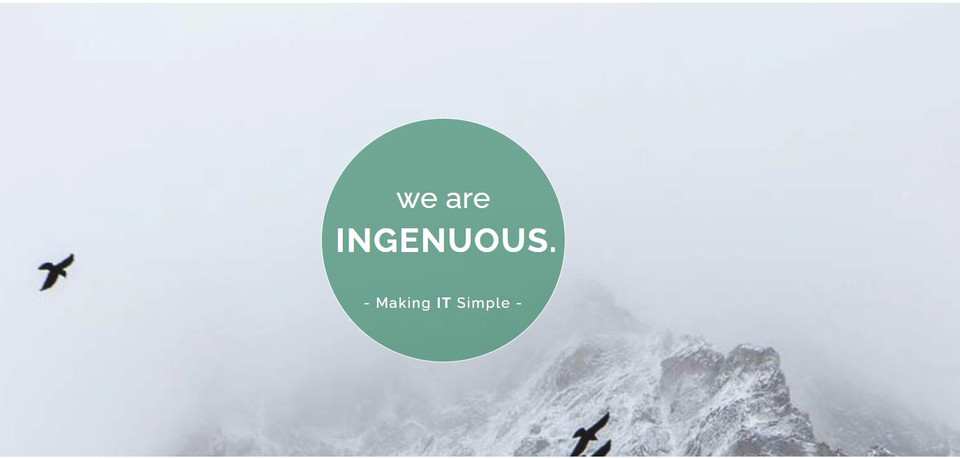 Logo of Ingenuous Web Design