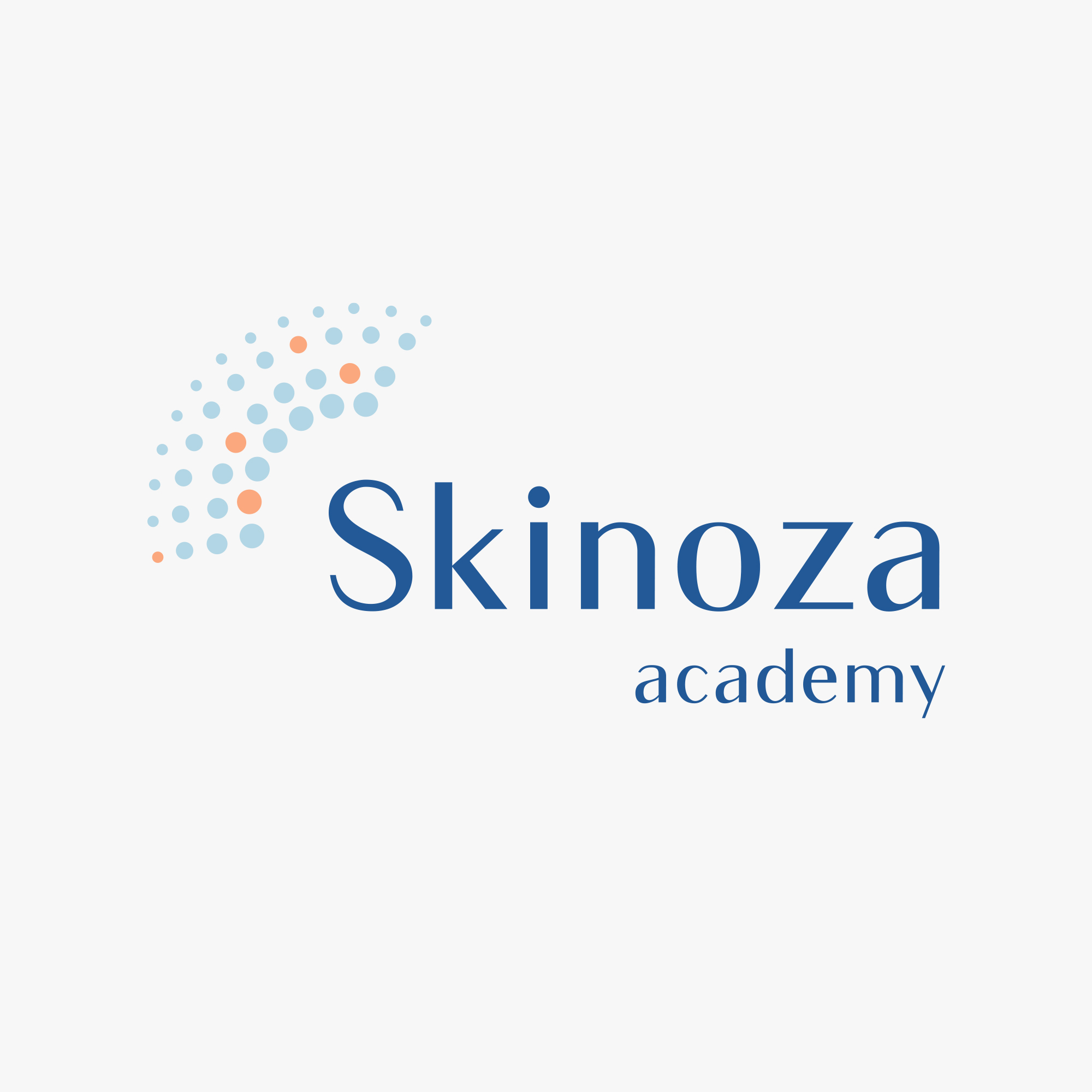 Logo of Skinoza Academy