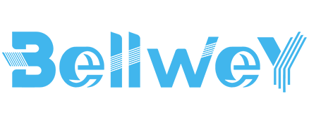 Logo of Bellwey Digital Marketing Services