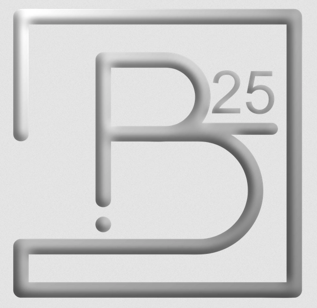 Logo of B25 Private Investigation