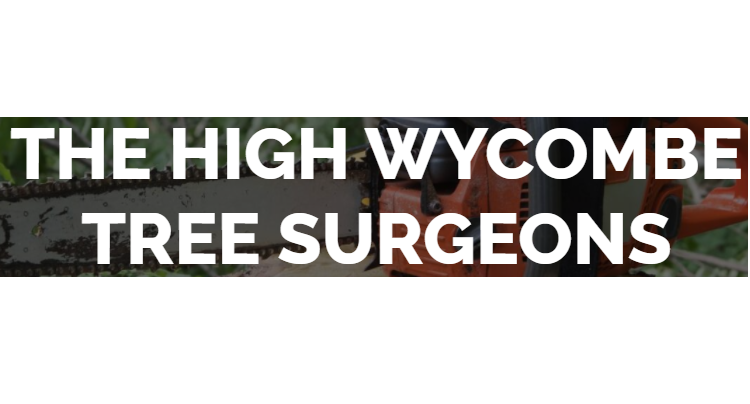 Logo of THE HIGH WYCOMBE TREE SURGEONS