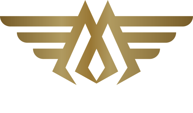 Logo of MTS Chauffeur Service Manchester