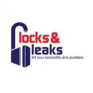 Logo of Locks and Leaks