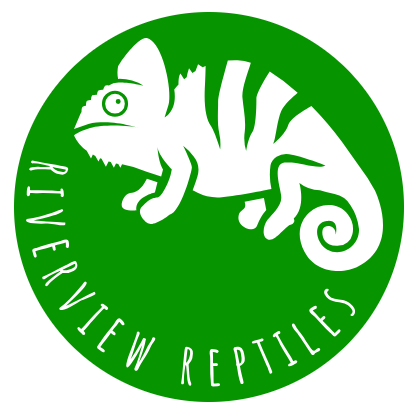 Logo of Riverview Reptiles Reptiles In Loughborough, Leicestershire