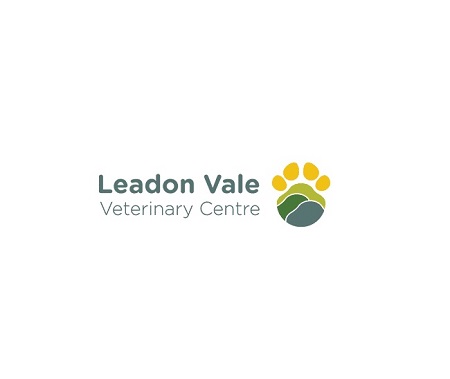 Logo of Leadon Vale Veterinary Centre Veterinary Surgeons And Practitioners In Ledbury, Herefordshire