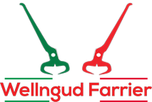 Logo of WellNGud Farrier Farriers In Hounslow, Middlesex