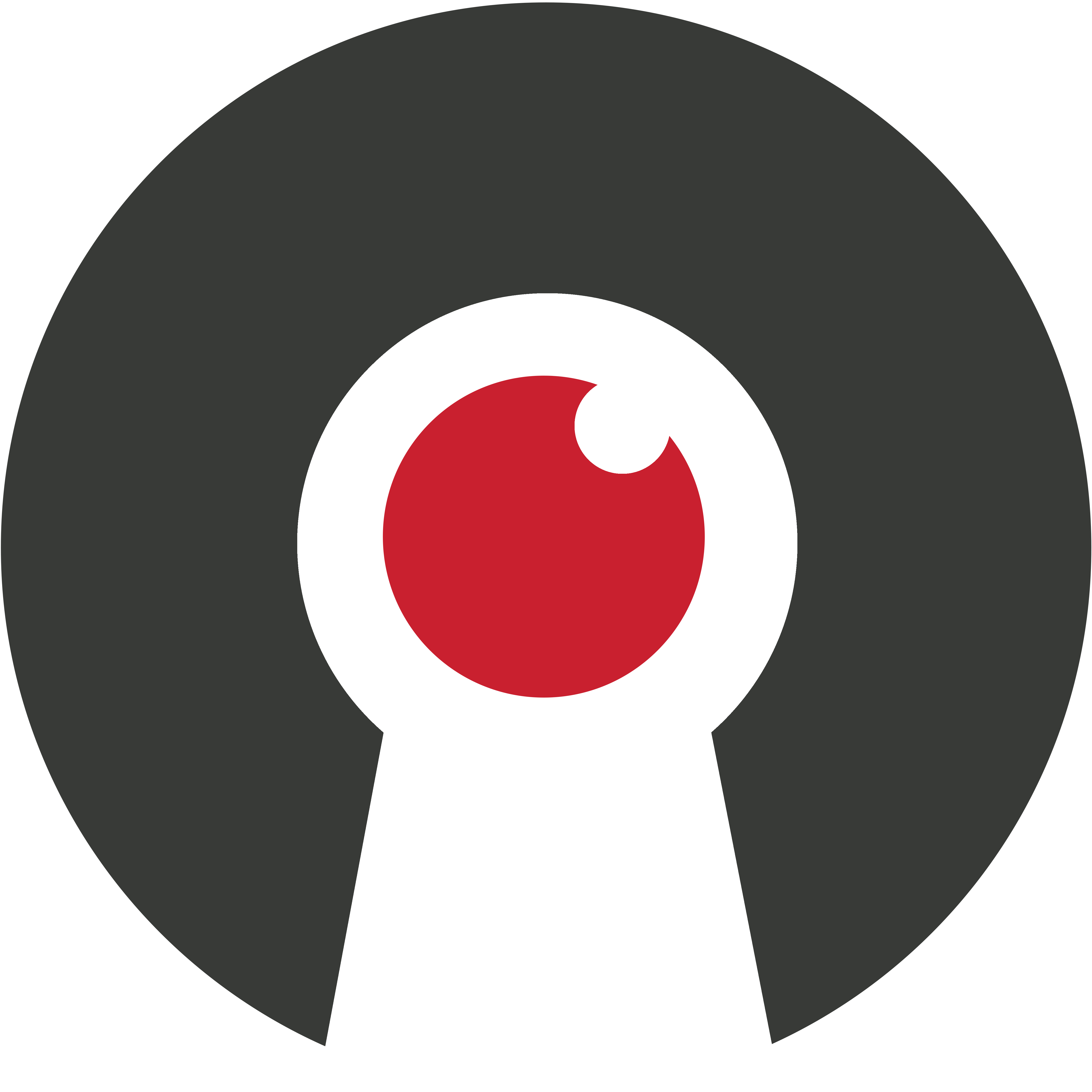 Logo of Razorthorn Security