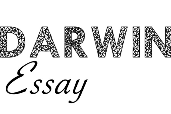 Logo of darwinessaynet