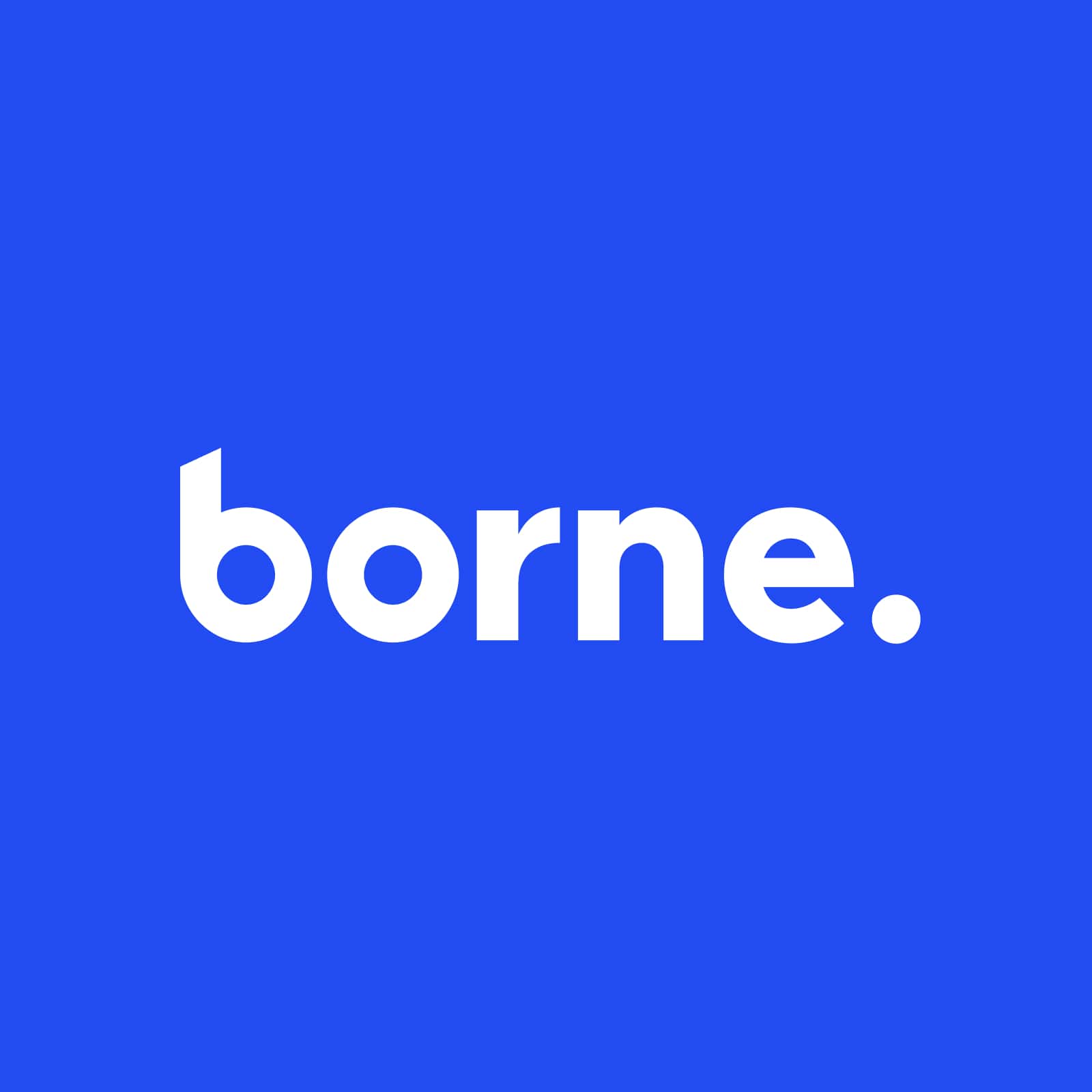 Logo of Borne Digital Computer Software In London