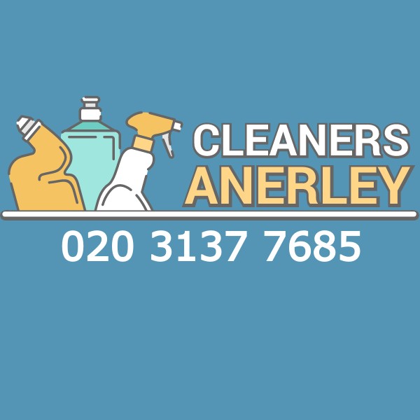 Logo of Cleaners Anerley