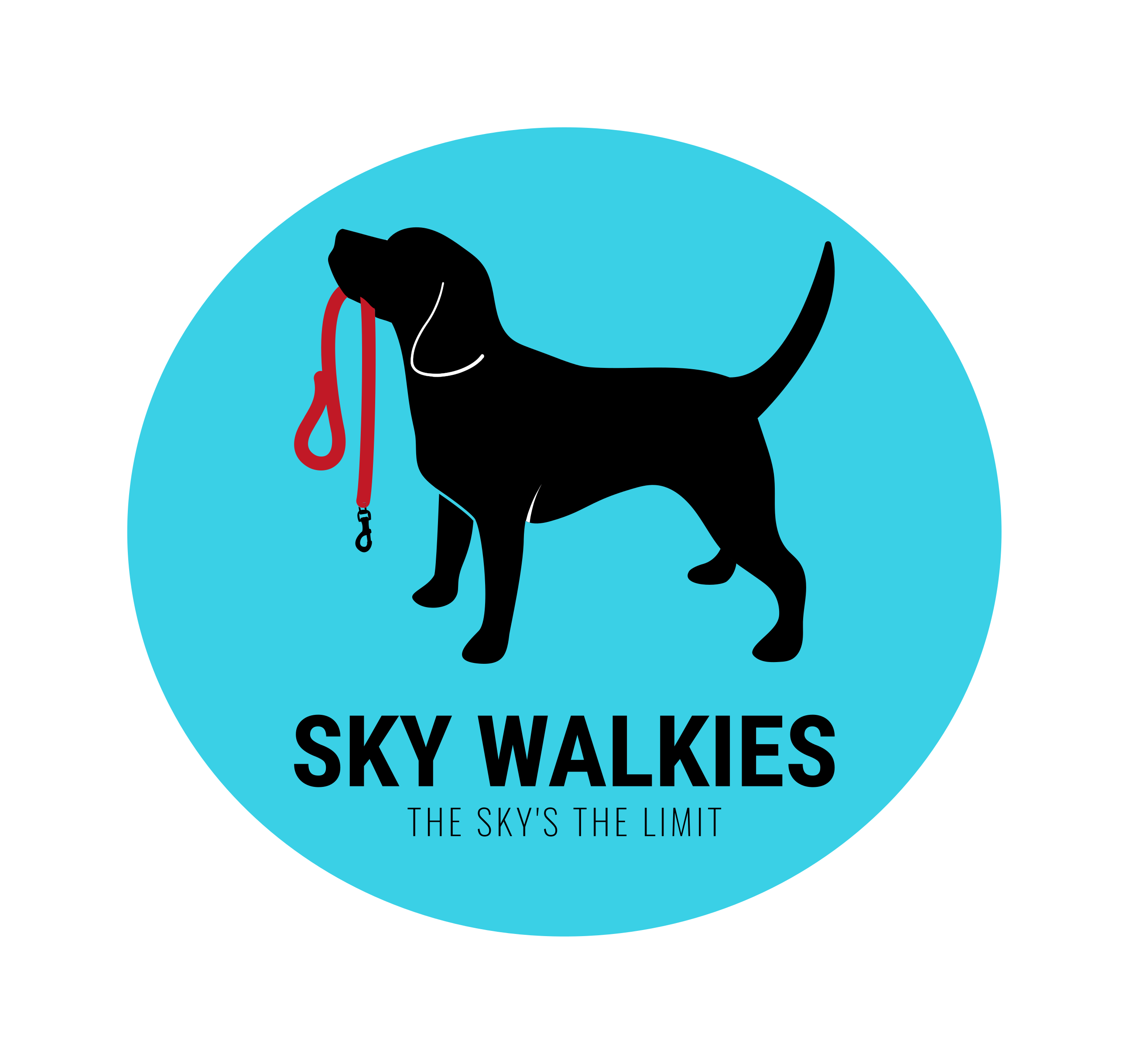 Logo of Sky Walkies Dog Walkers In Dunstable, Bedfordshire