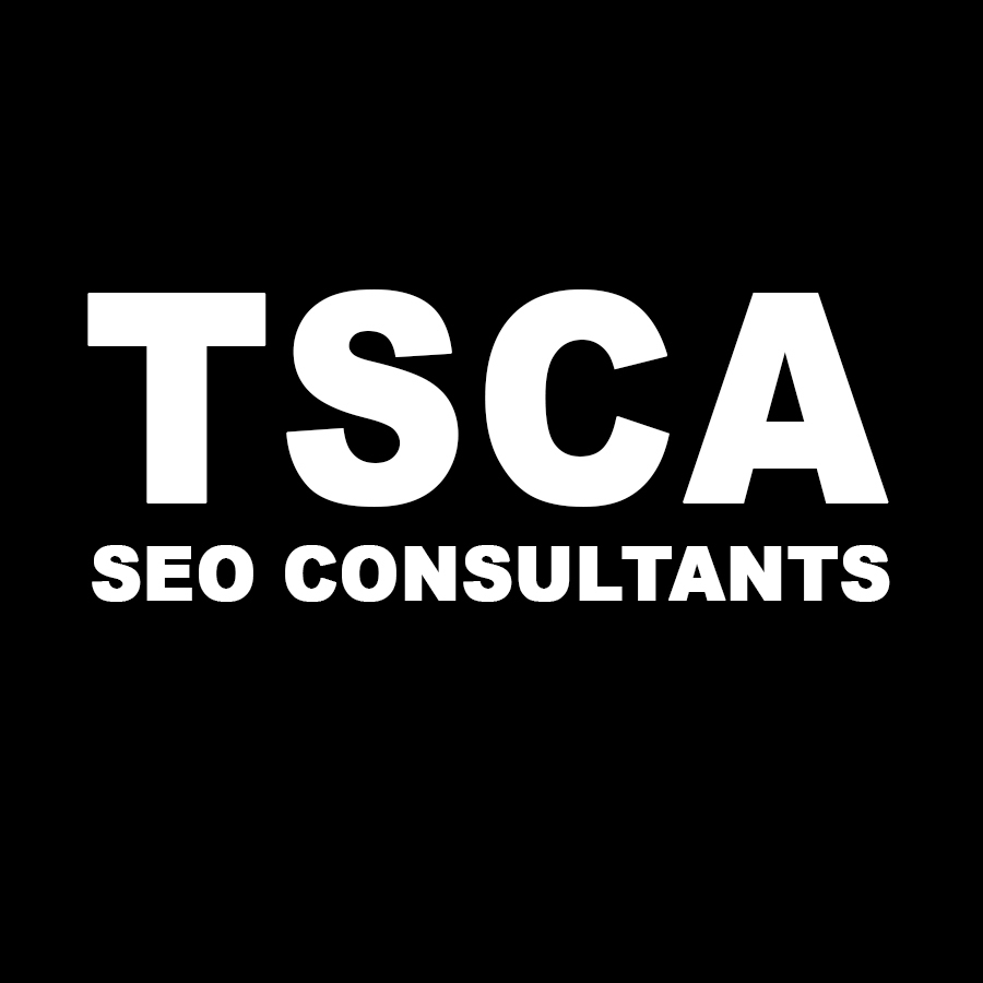 Logo of The SEO Consultant Agency
