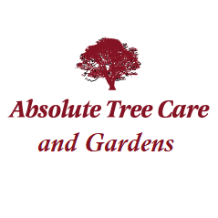 Logo of Absolute Treecare and Gardens