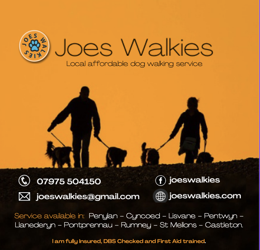 Logo of Joes Walkies