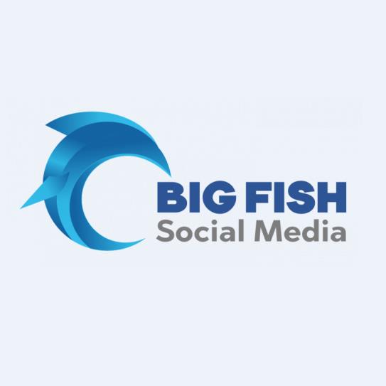 Logo of Big Fish Social Media