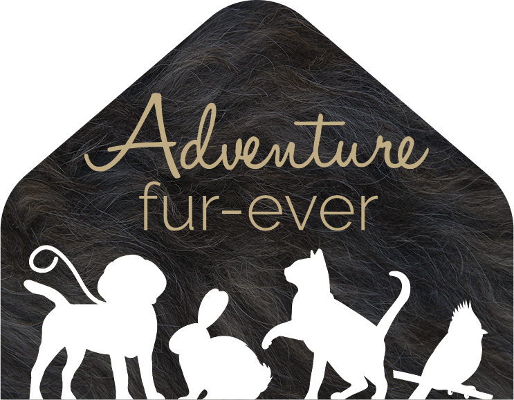Logo of Adventure Fur-ever