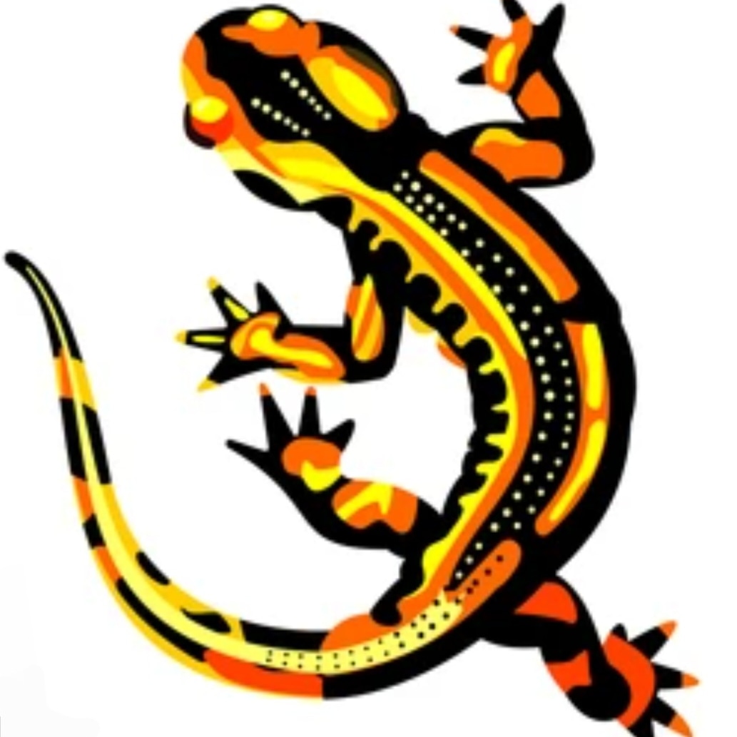 Logo of spotted lizard prints